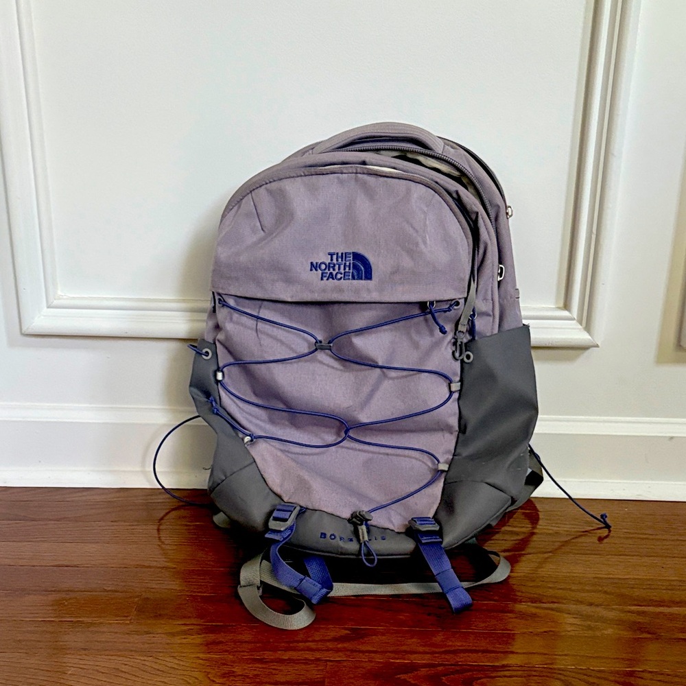 NorthFace Borealis Backpack dusky good condition